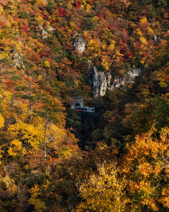 an autumn landscape with trees in the foreground and a train in the background