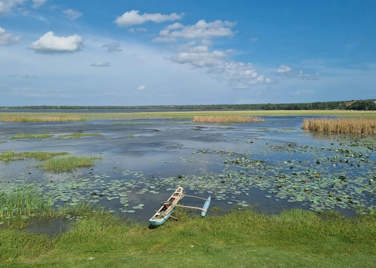 a small boat tied to the shore is in a marsh