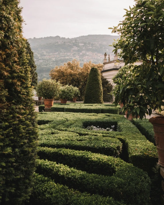 the garden is trimmed with various shrubs and hedges