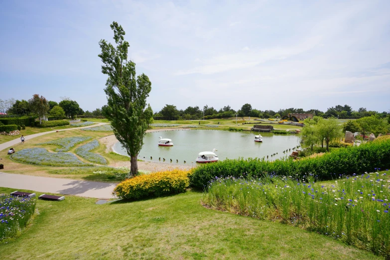 a pond in the middle of a grass area with various flowers and trees