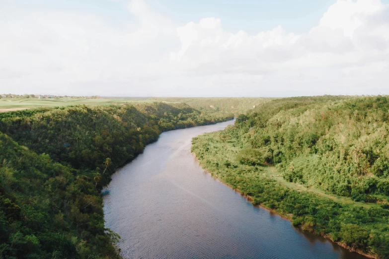 the view from an airplane of a small stream running through a wooded area