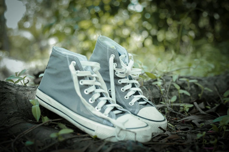 a pair of sneakers are shown sitting in a forest