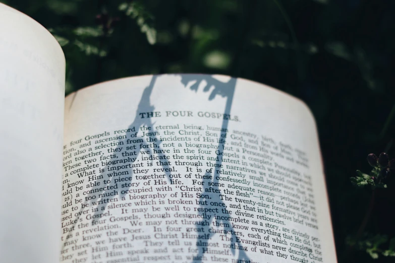 a shadow of a person holding a scissors and the shadows of books