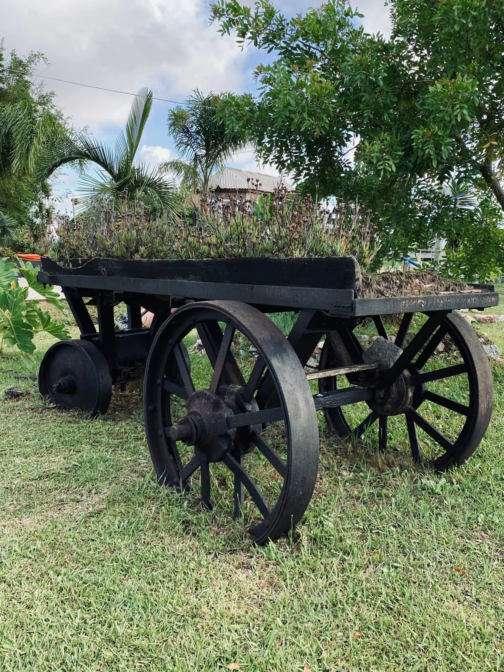 a large metal cart with grass in the back