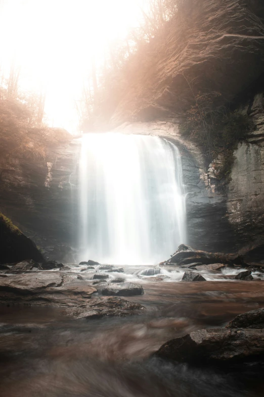 a waterfall coming out of the ground into a forest