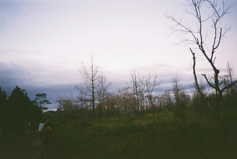 two people walking away from each other on a wooded hill