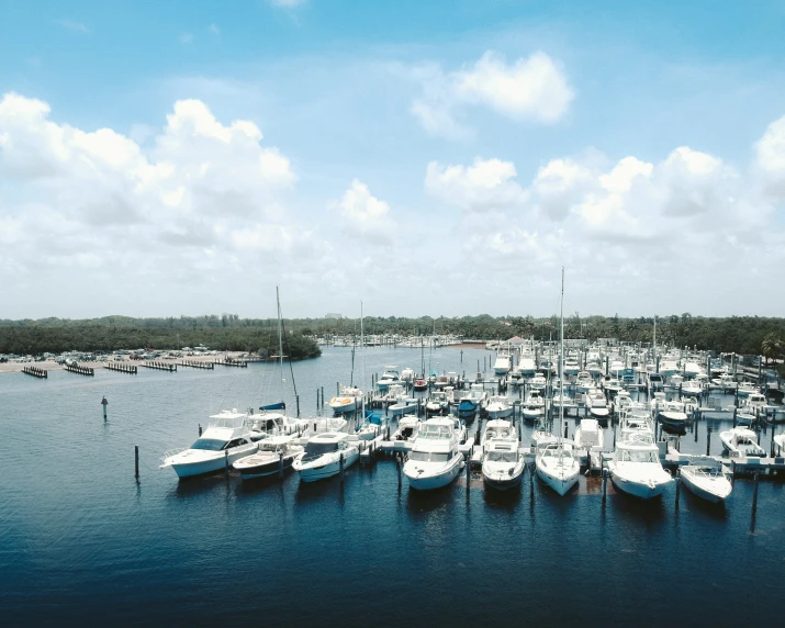 a lot of white boats are in the water