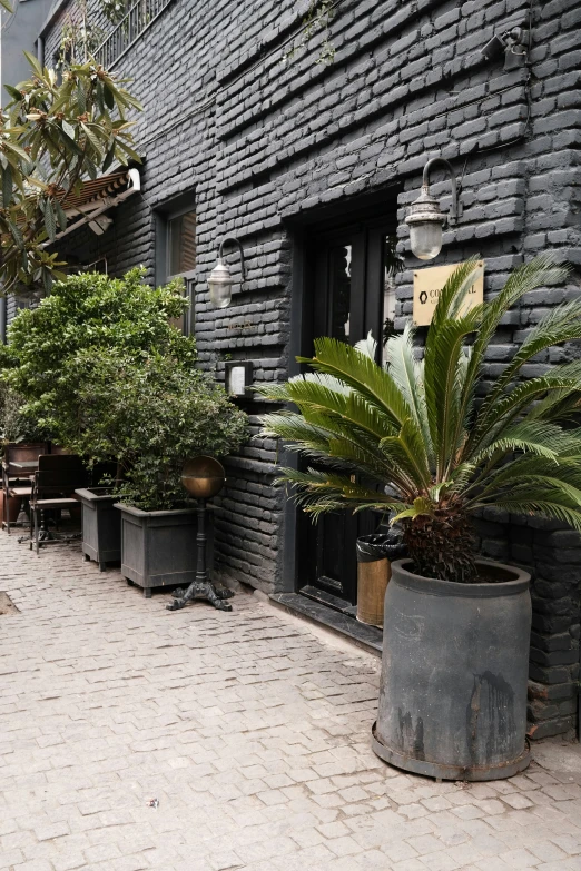 a street scene with potted plants in front of black brick building