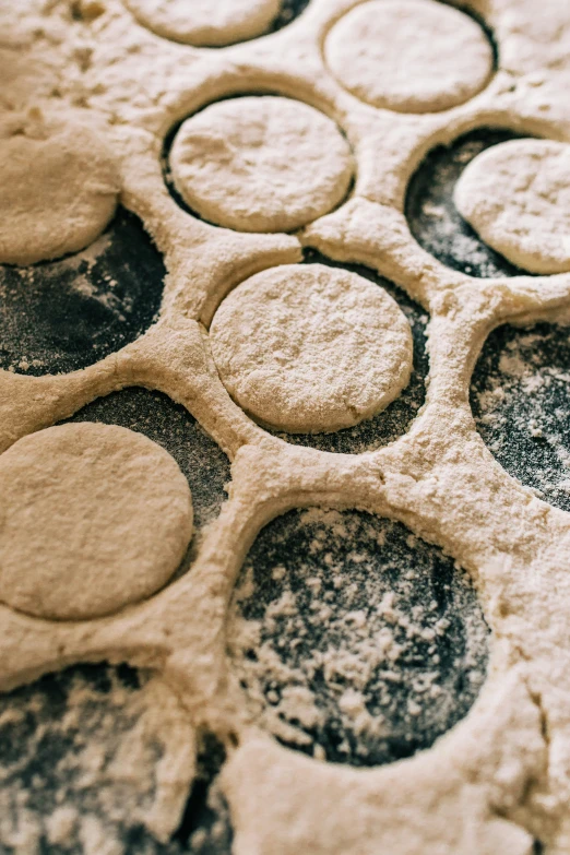 closeup of round cutout pastry crusts in flour