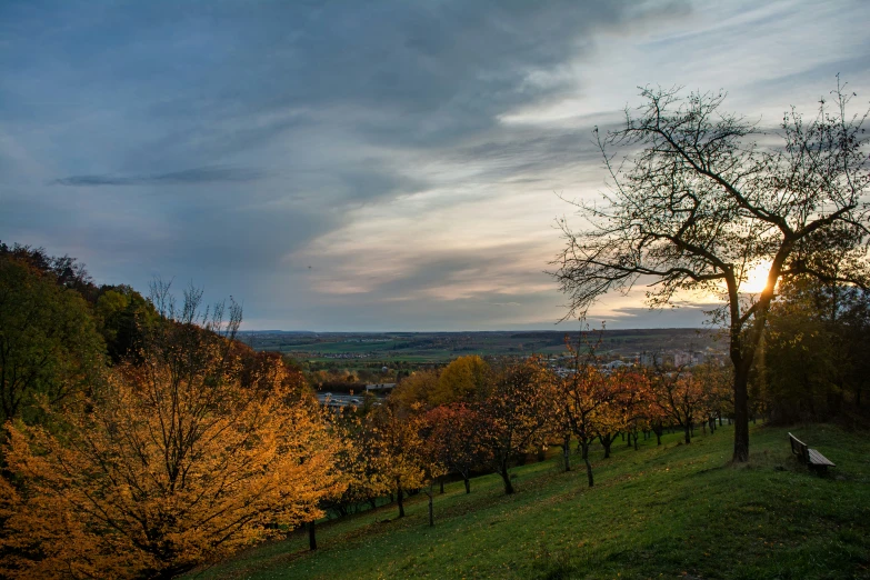 a sunset behind trees on a hill in fall