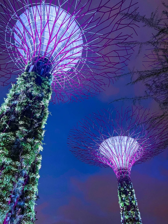 the gardens by the bay light show up with purple lights