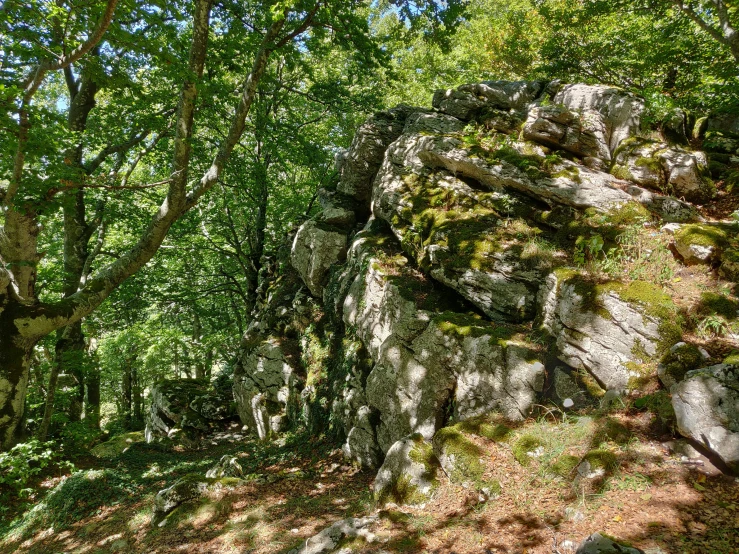 a rocky cliff covered in green and rocks