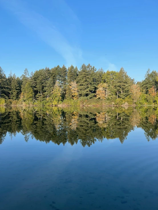 the lake is reflecting the surrounding trees