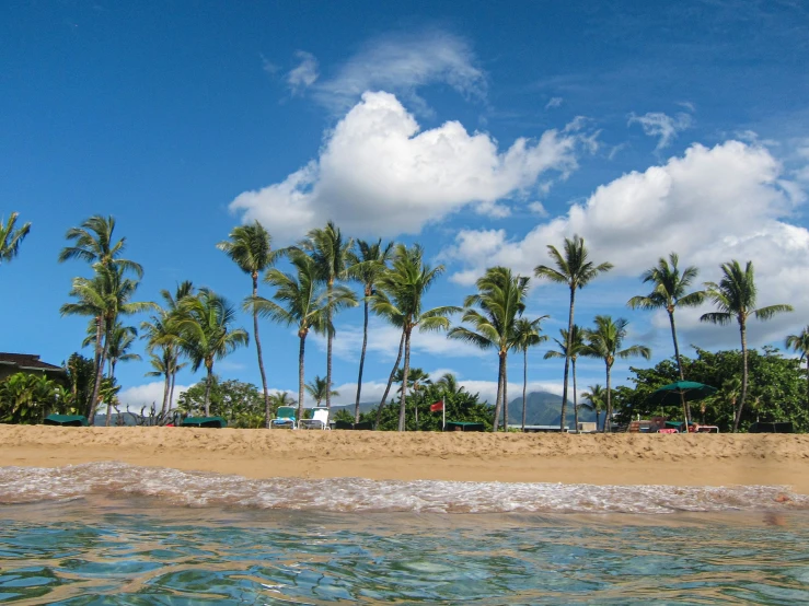 a beautiful view of the beach in front of palm trees