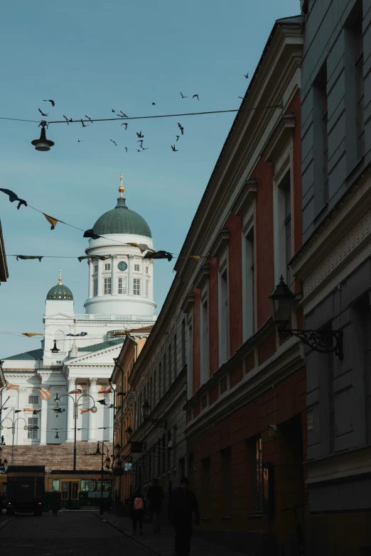 there are many birds flying in front of buildings