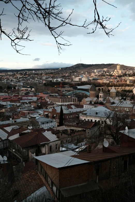 a tree is in the foreground of a city