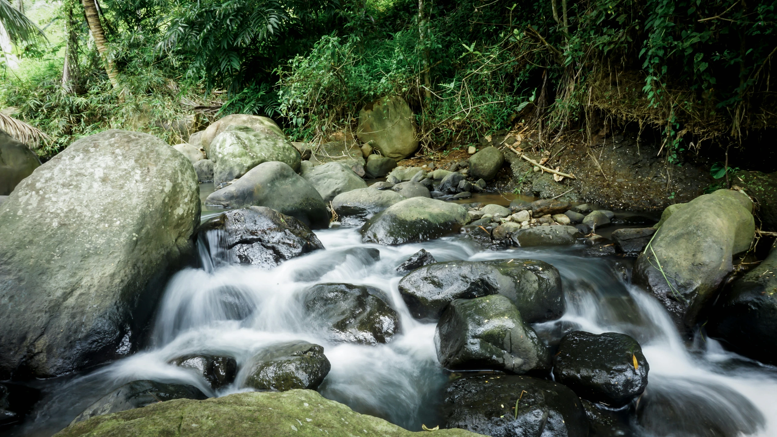 many small rocks are shown flowing over them