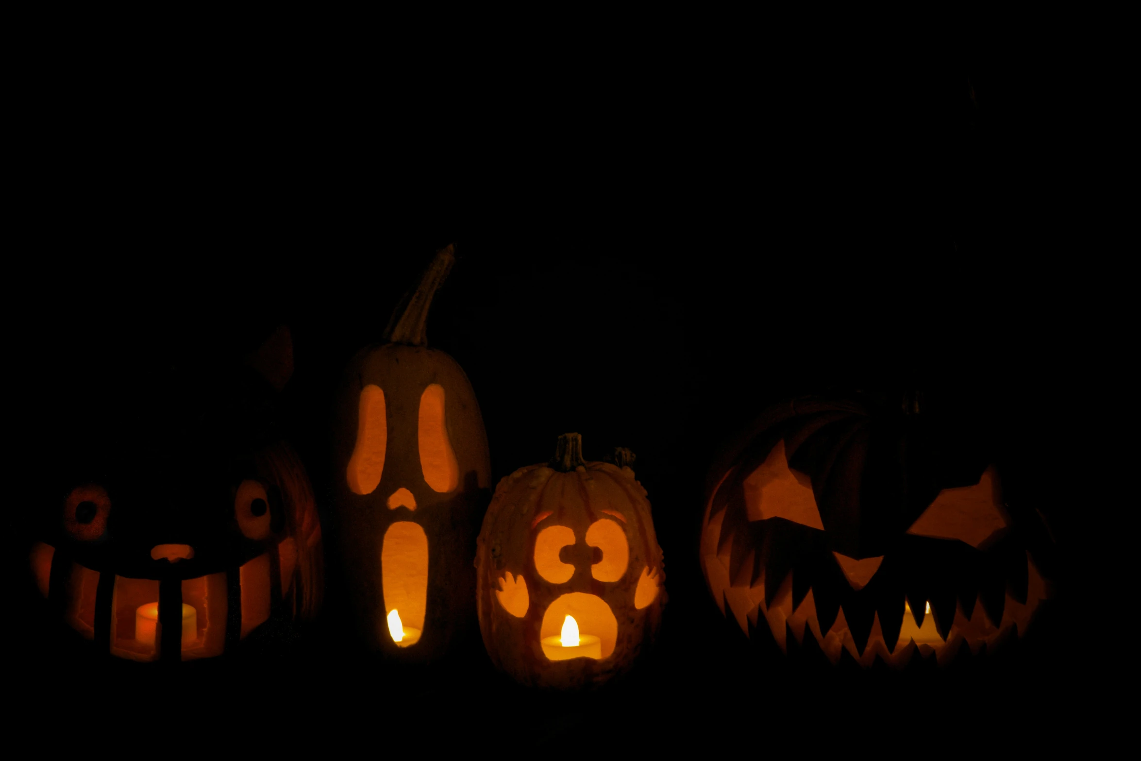 some pumpkins in the dark and glowing for halloween