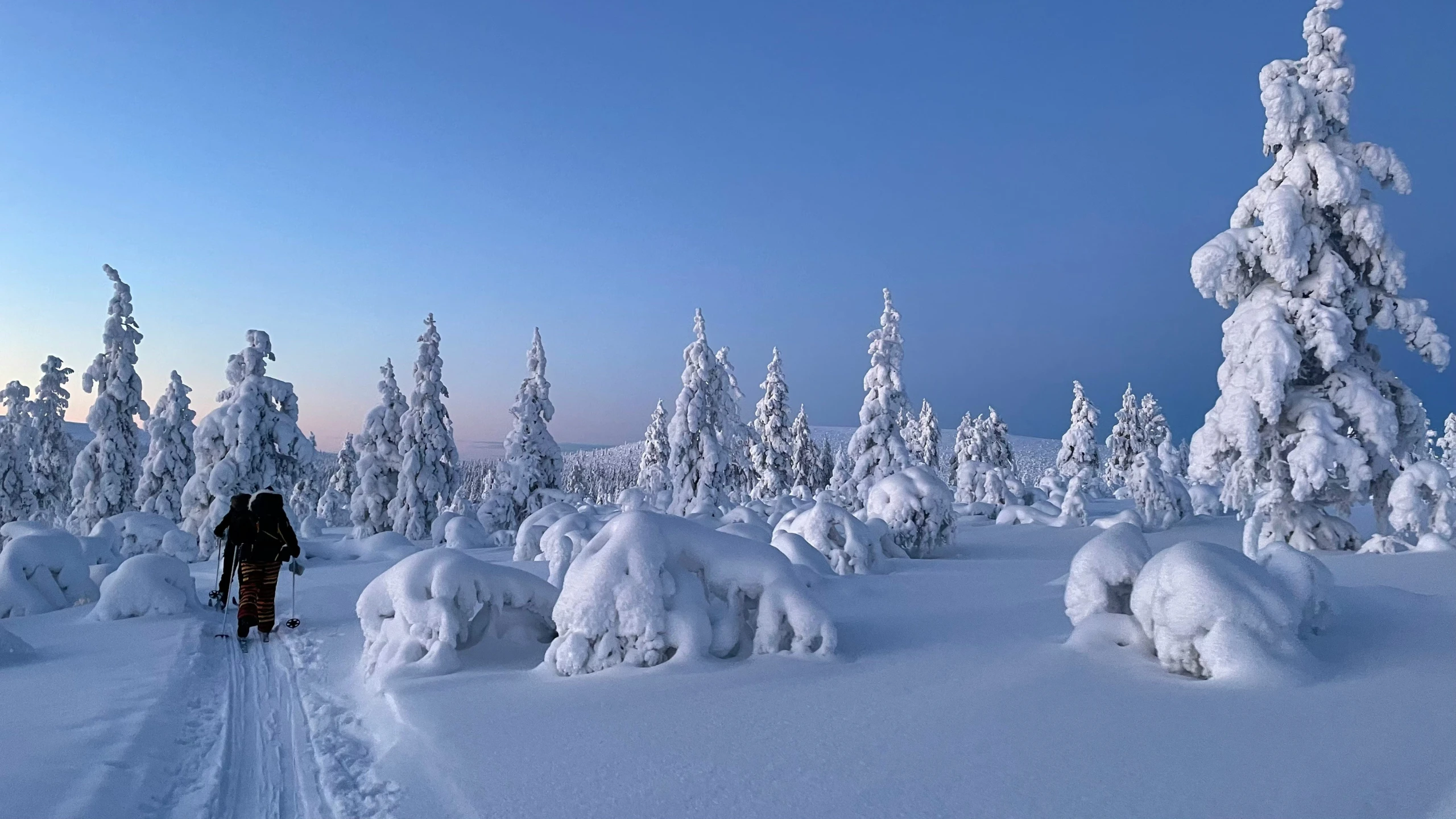 a cross country skier moving up a snowy path