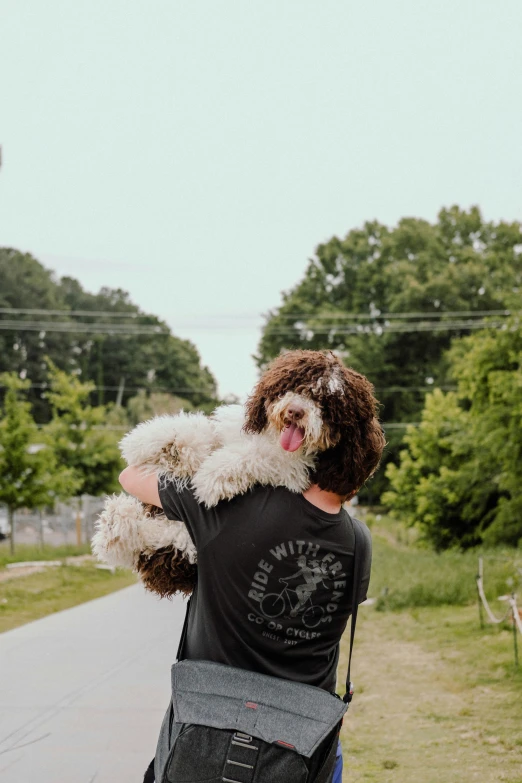 a man holds a dog with a frizzy face in the street