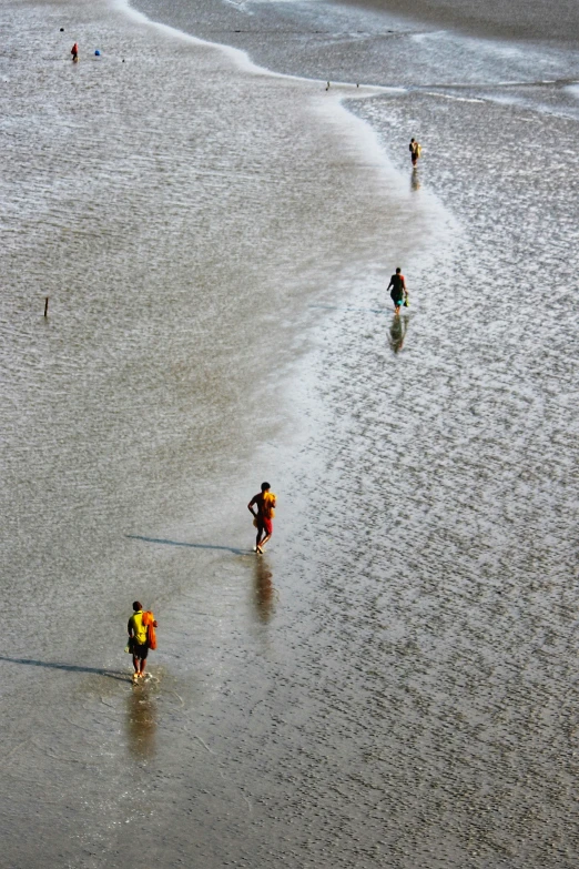 four people walking along the wet sand on the beach