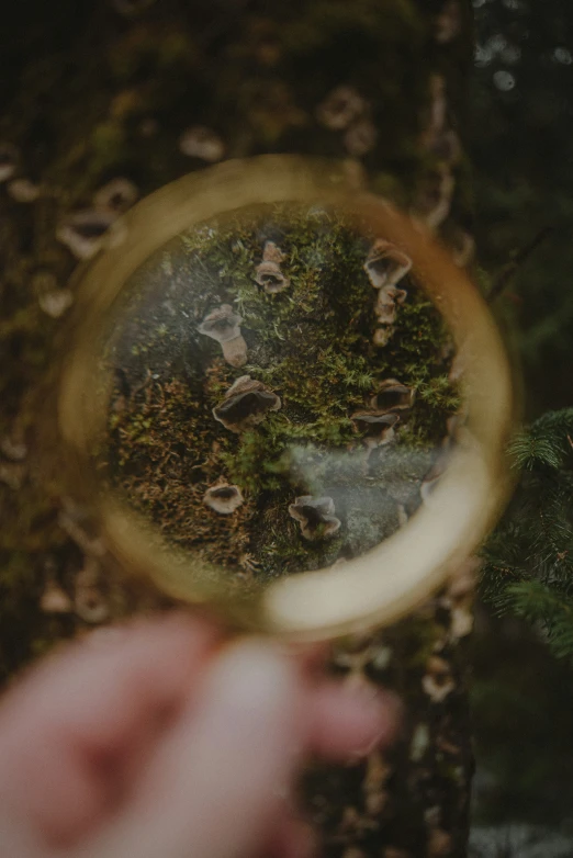 a hand with a magnifying glass on it