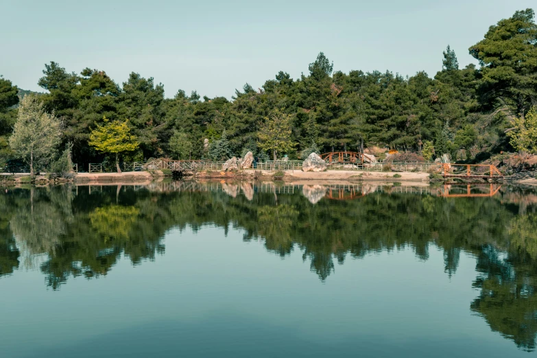 the trees in the distance reflect the still water