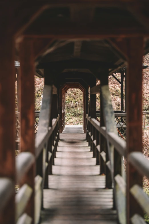 a wooden walkway in the woods lined with benches