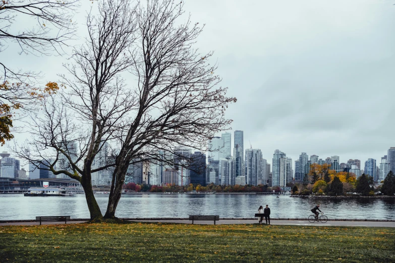 people walking along a grass field next to trees and water