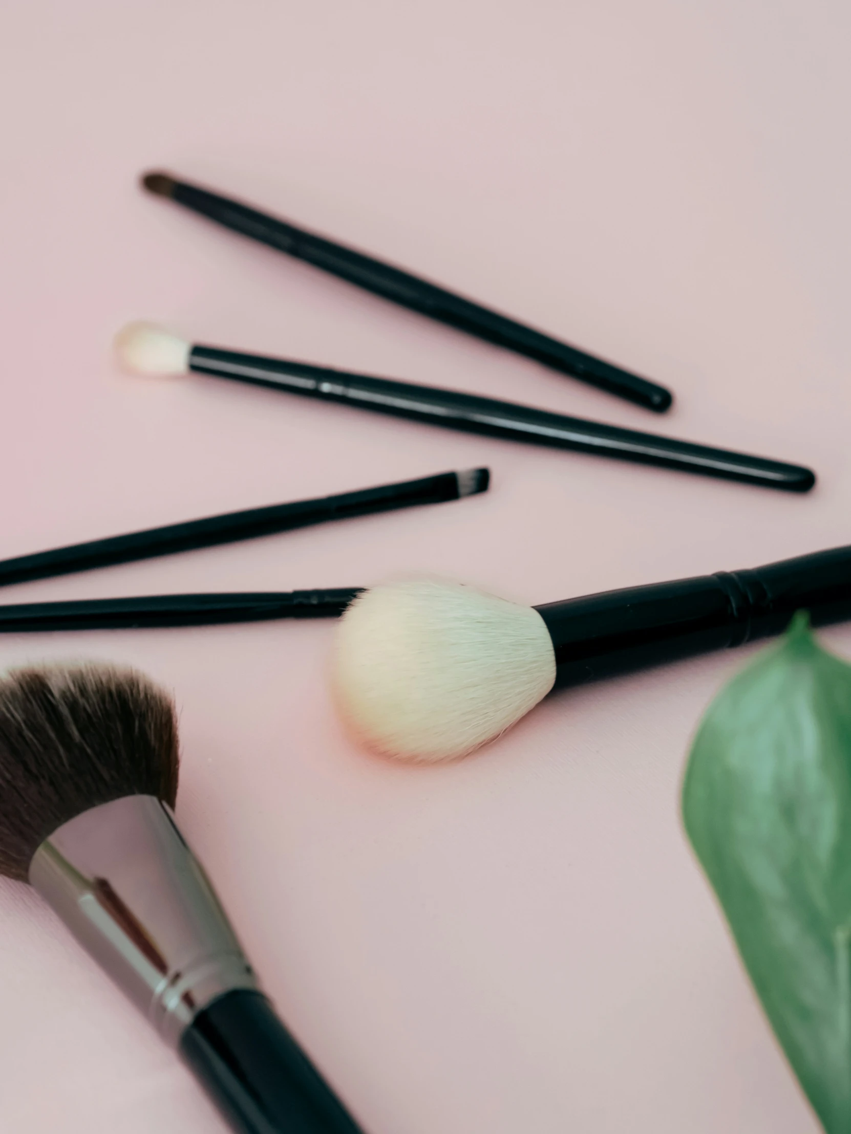 some makeup brushes with leafy green leaves on pink surface