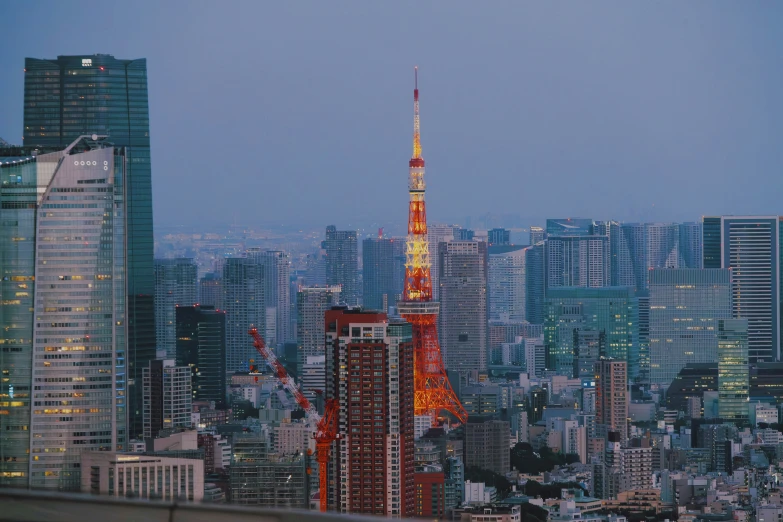 large city with a lot of tall buildings in the evening