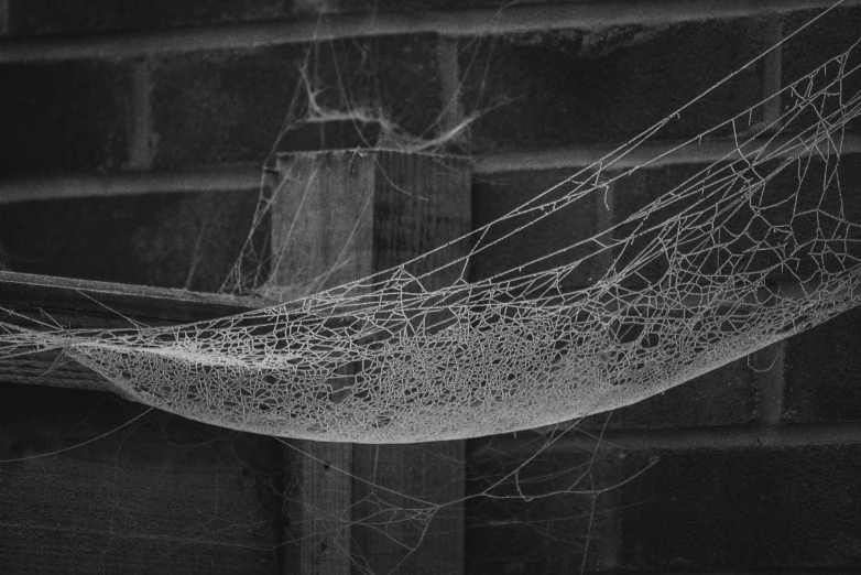 an art print of a spiderwefe's net in black and white