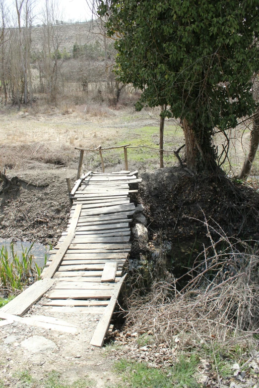 a wooden bridge crossing over water next to a forest