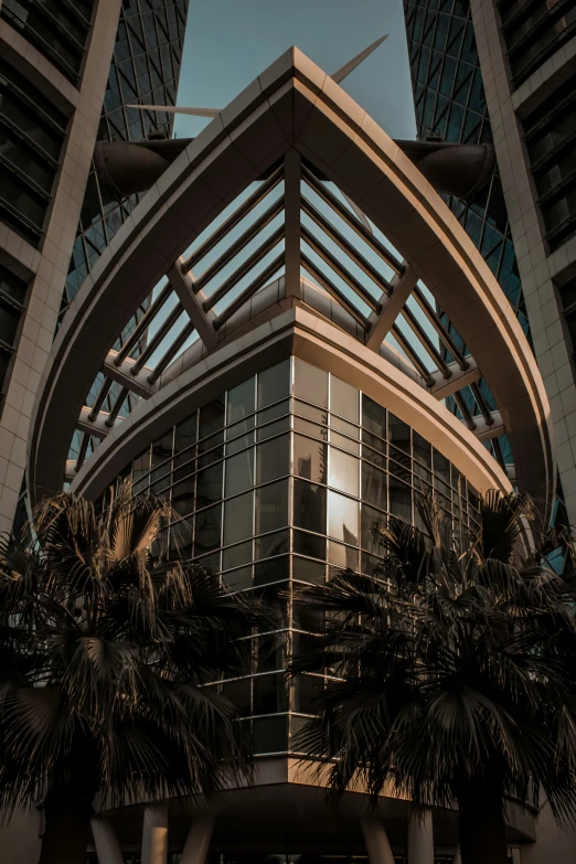 tall, slender buildings with palm trees in front