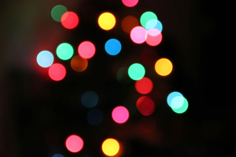 a tree with multicolored lights on it