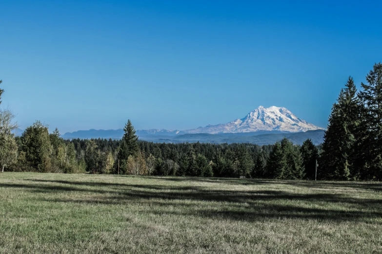 the view of a field in the background, trees, and mountain