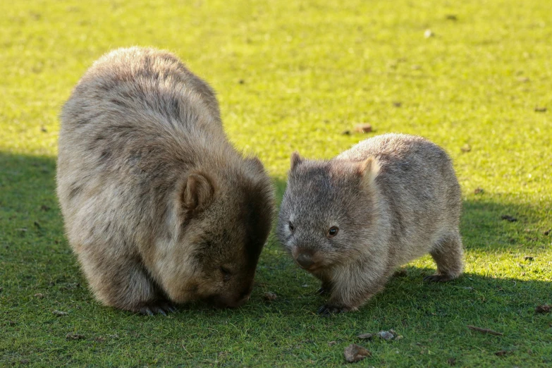 two bears that are next to each other