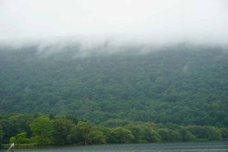 mist and clouds are hovering on a forest near a river