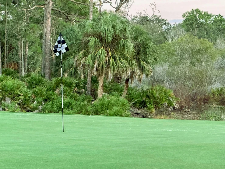 a golf course in the middle of a tropical area