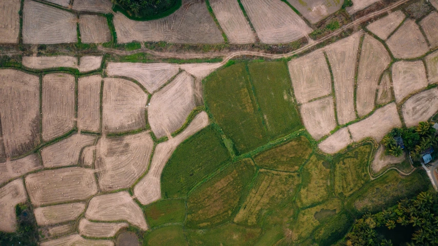 an aerial view of an area that has grass