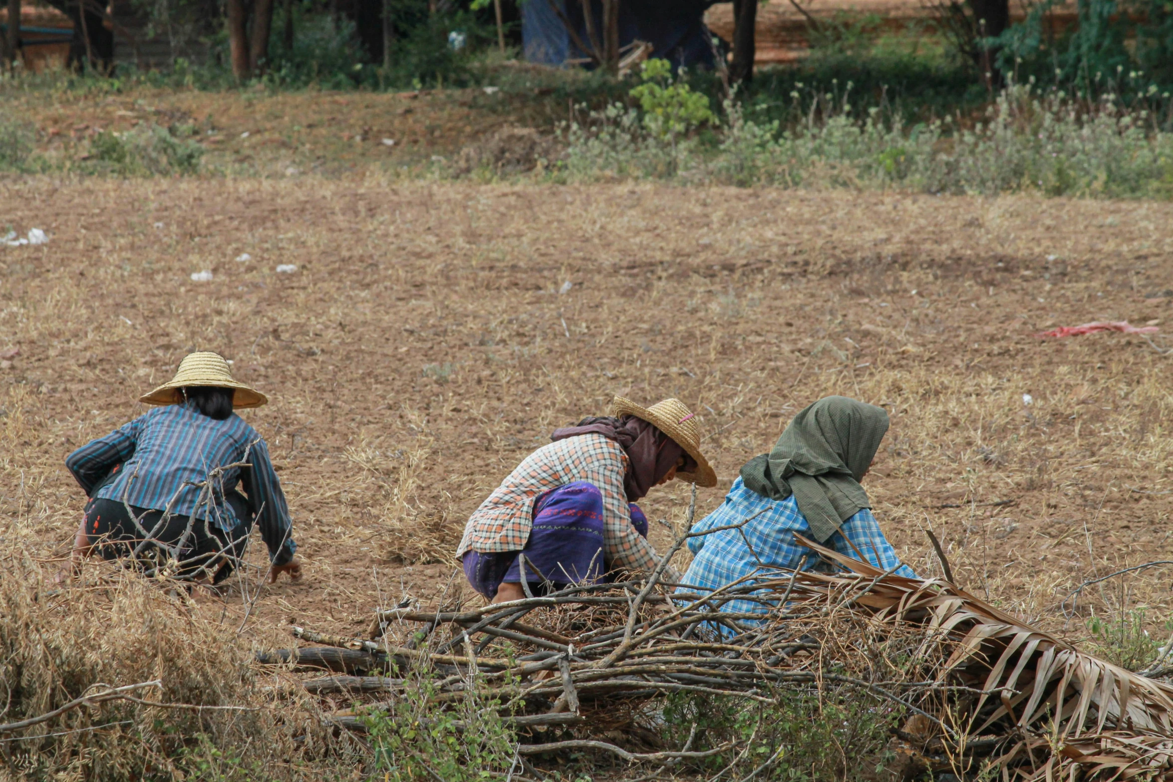 two women in a field with straw hats working in the ground