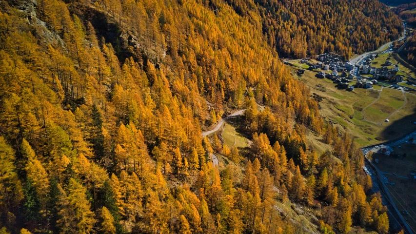 aerial view of trees in the mountains and village below