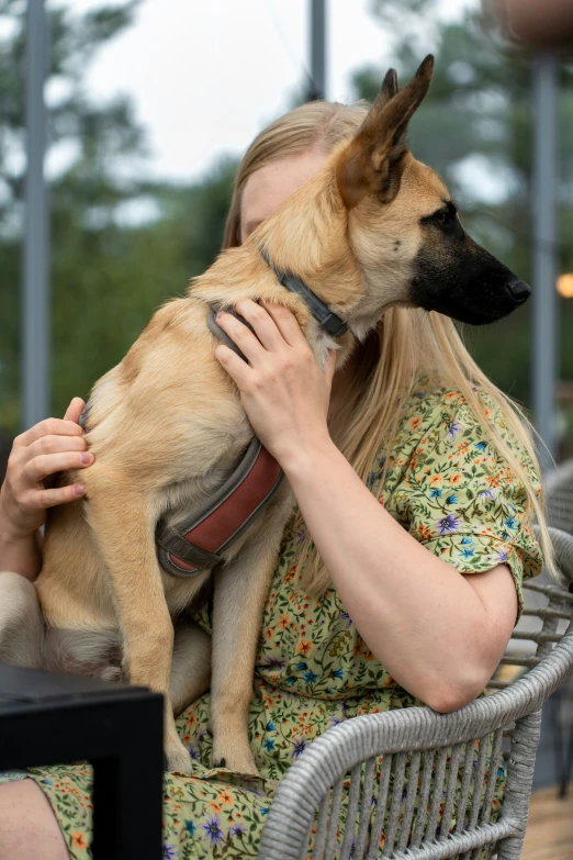 a woman holding a dog while sitting in a chair