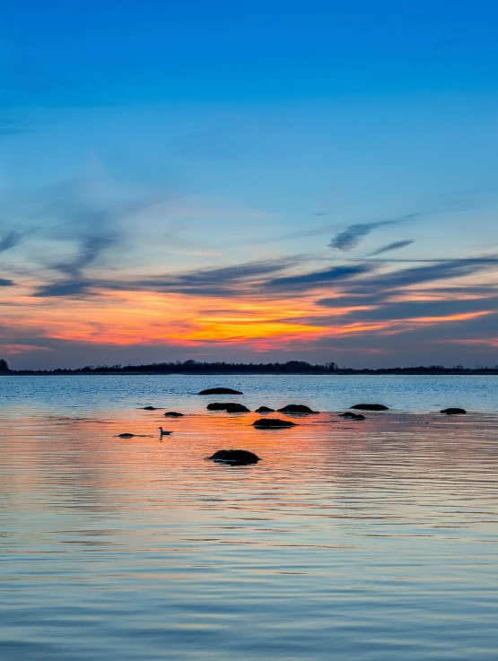 the sun setting over the water off of the shore