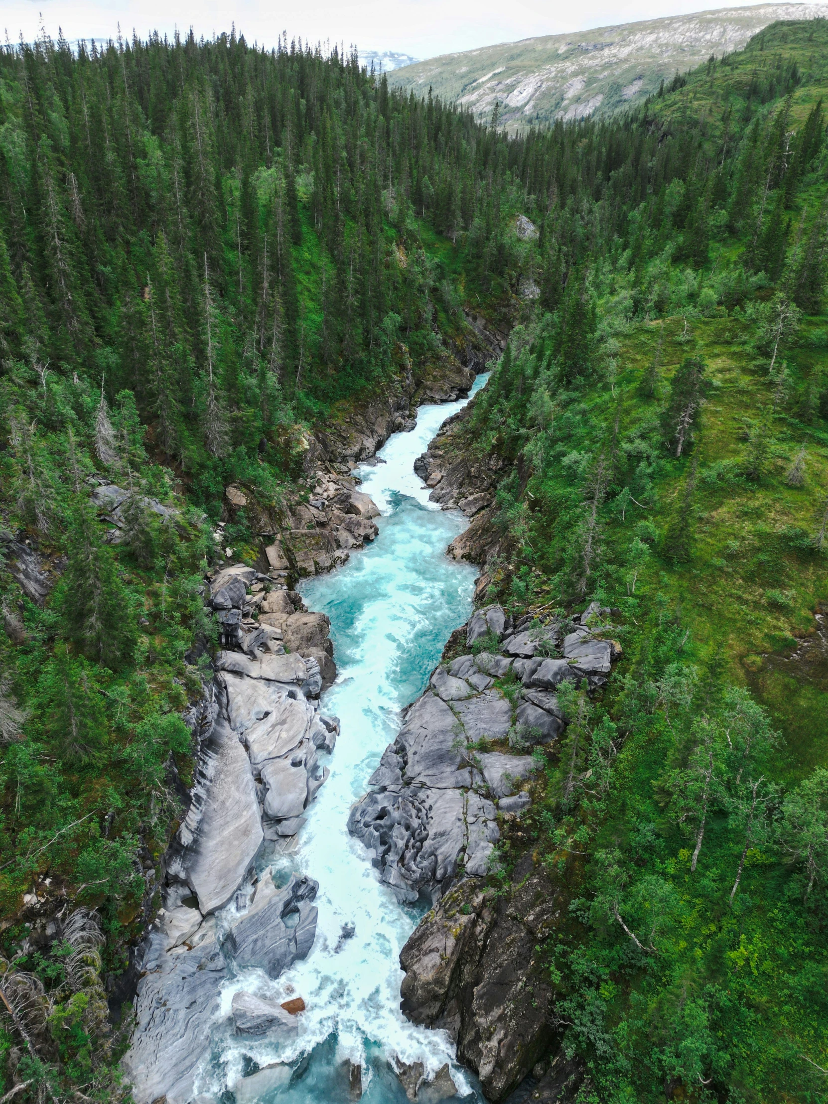 the stream flowing through a canyon is surrounded by trees