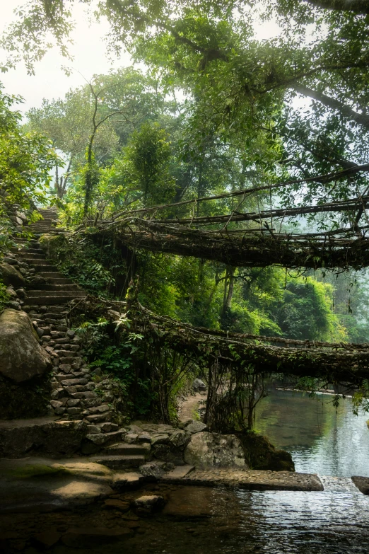 a bridge built to look like it's been built in the middle of a forest