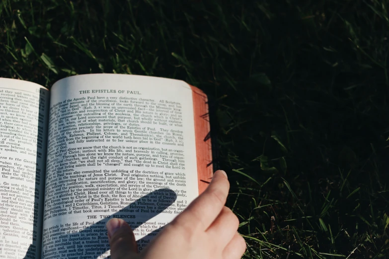 someone holds a book and points at the pages on the grass