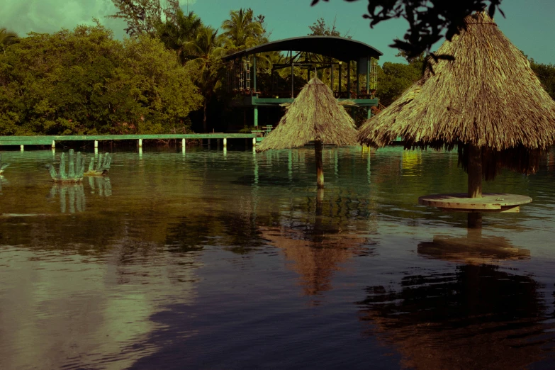 the water has several thatched houses all over it