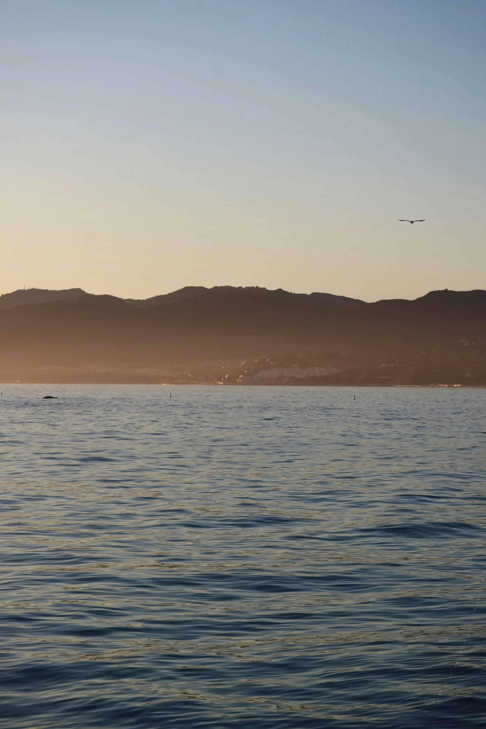 a jet flying over some small boats on the water