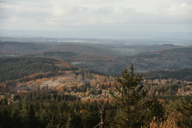 a beautiful view of some mountains and the trees